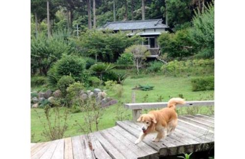 Kawazu Hotel | Hotel Shiki no Kura - Vacation STAY 29696v