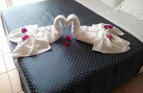 Pinarella Hotel | Hotel Souvenir - Koolibry Hotels