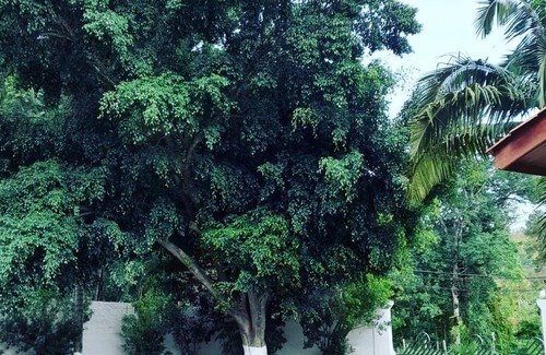 Serra Negra Hotel | Hotel Tabarana