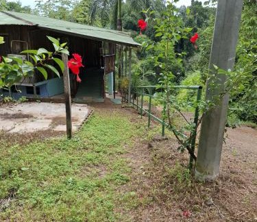 Palma Hotel | Hotel Tesoro del sir Hotel y Restaurante