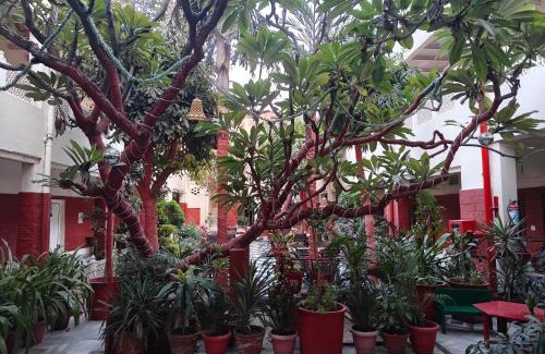 Rakabganj Hotel | HOTEL TOURIST REST HOUSE Agra