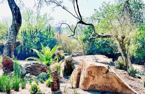 Greater Johannesburg Metropolitan Area Casa | Hotel Vibes Ferndale