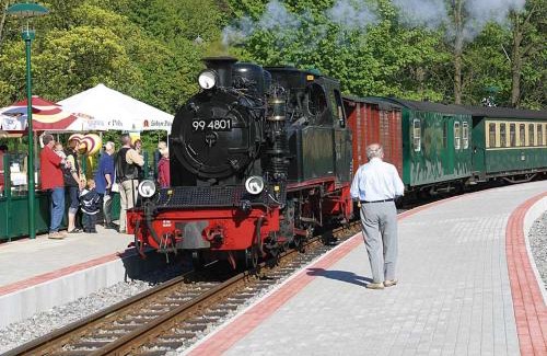 Sellin Hotel | Hotel Villa Elisabeth