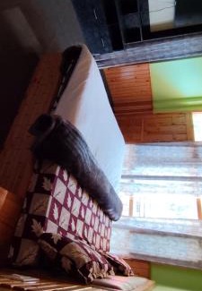 Thunag Hotel | Hotel White Rock Janjehli