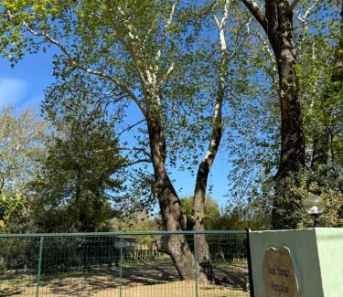 Cirali Hotel | Hotel Yavuz Bungalow