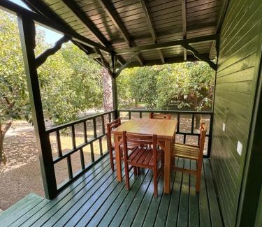 Cirali Hotel | Hotel Yavuz Bungalow