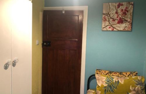 Tottenham Green Casa | House 220