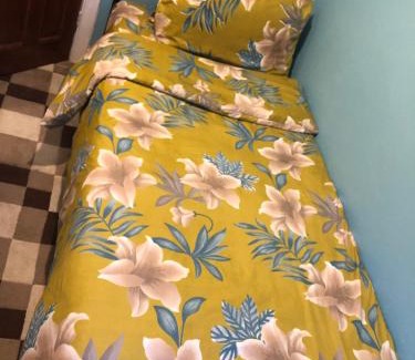 Tottenham Green Casa | House 220