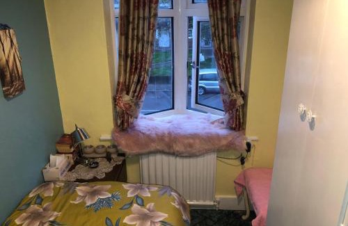 Tottenham Green Casa | House 220