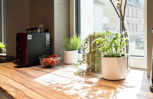 Hechtsheim Villa | House 756 Mainz: Families, Friends & Business – Sauna, Parking, Near Messe & Airport