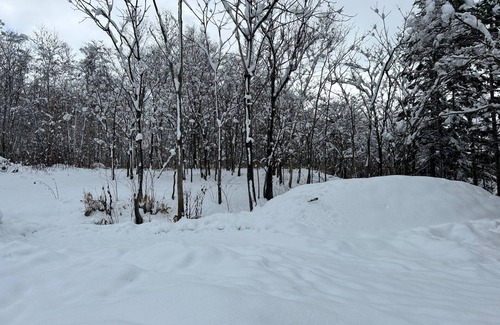 Niseko Cabaña | House / Abuta-gun Hokkaidō