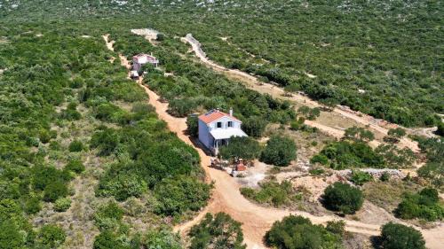 Dobropoljana Casa | House Mirta