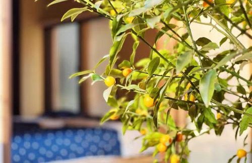 Nakano Villa | House near Shinjuku with parking & courtyard