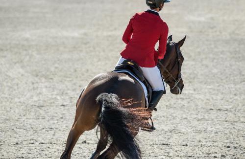 Molinell Casa | House with garden at Oliva Nova MET & Golf & Padel & Beach resort