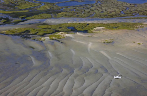 Taussat Casa | CASA CON PISCINA EN LA CUENCA DE ARCACHON