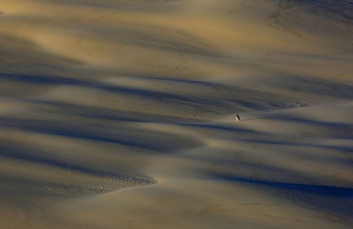 Taussat Casa | CASA CON PISCINA EN LA CUENCA DE ARCACHON