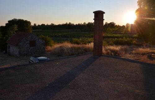 Trn Casa | House with the ecogarden at the end of the Village