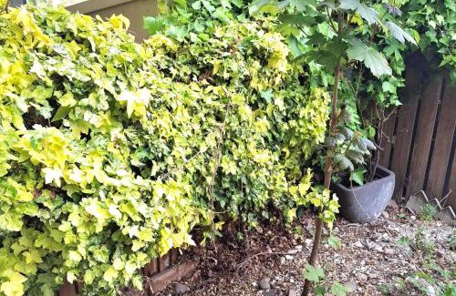 Brockley Casa | HouseSleeps7-Parking-Garden-CityBreak-Peckham Arts