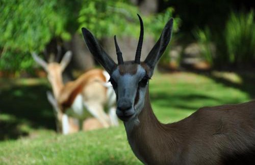 Constantia Casa | Houtkapperspoort-Cottage King Protea-19Constantia-Nek