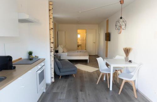 Schonberg Apartamento | HUGOS Studio Apartment