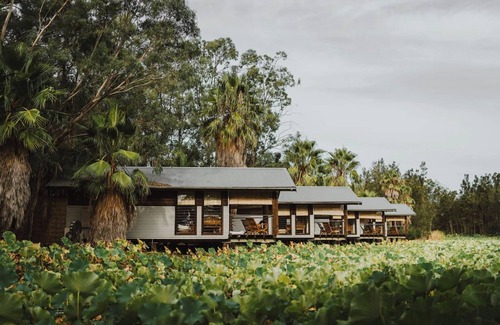 Lovedale Villa | Hunter Valley's Most Beautiful Stay, Bathhouse 4 at Leaves and Fishes