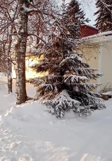 Kalajoki Casa | Huone Rauhallisessa Mummolassa