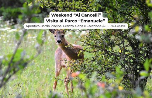 Palazzuolo sul Senio Complejo | I Cancelli - Family Village