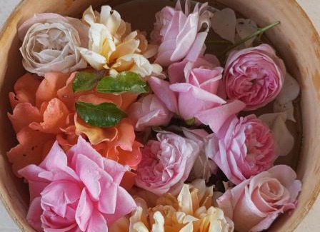 Pietramelara Apartamento | I Giardini di Palazzo Ducale