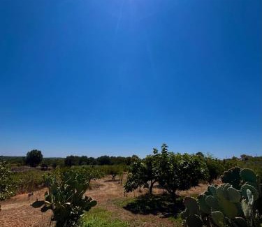 Martina Franca Casa | I Trulli della NaturaBio