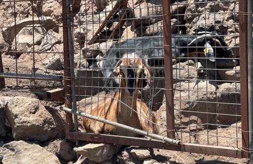 La Solana Casa | Ibaiale