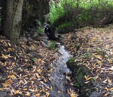 La Solana Casa | Ibaiale