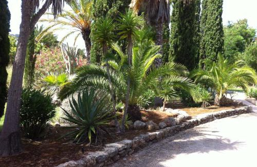 Siesta Apartamento | IBIZA - Bungalows Siesta a 50mt dal mare