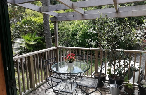 Tawharanui Cabaña | ESCUELA DE MATAKANA BEACH N BUSH FRENTE AL MAR, TRAER EL PERRO DISPONIBLE DE NAVIDAD / AÑO NUEVO