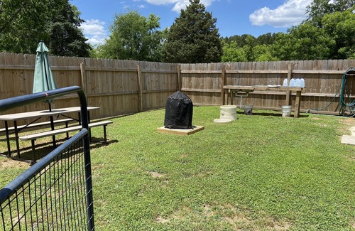 Elberton Casa | Si la pesca, la caza o de caballo a caballo es su "cosa" que necesitas para estar aquí.