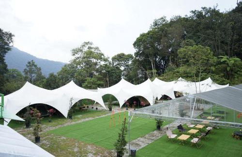 Genting Highlands Otro | iGo Glamz 爱狗露营 Pet Friendly Glamping