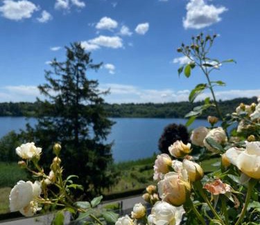 Albate Apartamento | Il Boschetto - Vista Lago