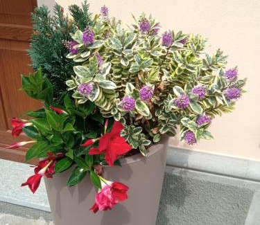 Verduno Casa | IL CORTILETTO 2 - Verduno