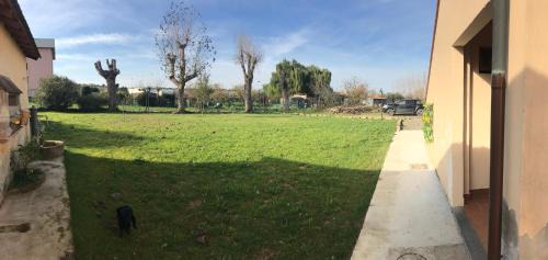 Capannoli Apartamento | Il Girasole