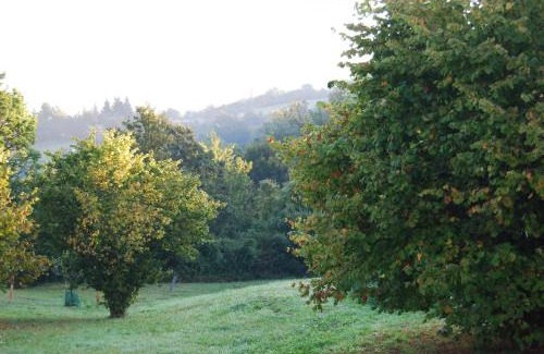 Albareto Apartamento | Il Paradiso monolocale Cottage