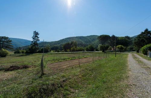 Molin Bianco-pian D'uscianom Apartamento | Il Rifugio di Amelia