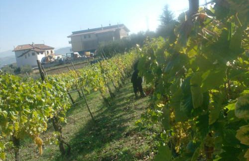 Sicignano degli Alburni Casa | il sentiero del riccio