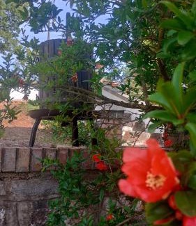 Rifreddo Cama Y Desayuno | Il Sottobosco