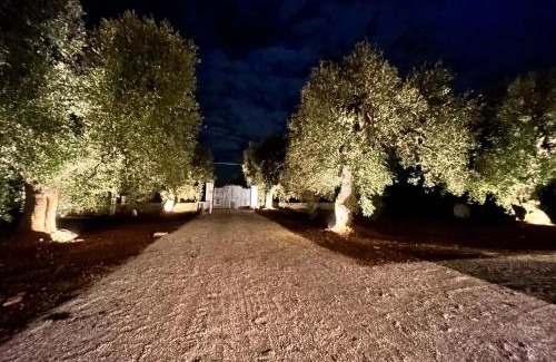 Fasano Cama Y Desayuno | Il Trullo di Bina