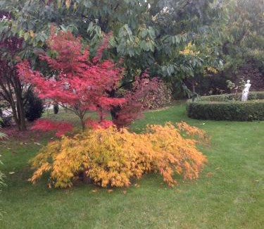 Haldensleben Apartamento | Im schönen Garten