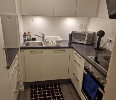 Sternhaule Apartamento | IM SI-CENTRUM 1 ZIMMER APART#MUSICAL#MESSE#Flughafen