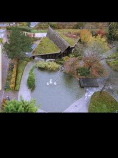 Sternhaule Apartamento | IM SI-CENTRUM 1 ZIMMER APART#MUSICAL#MESSE#Flughafen