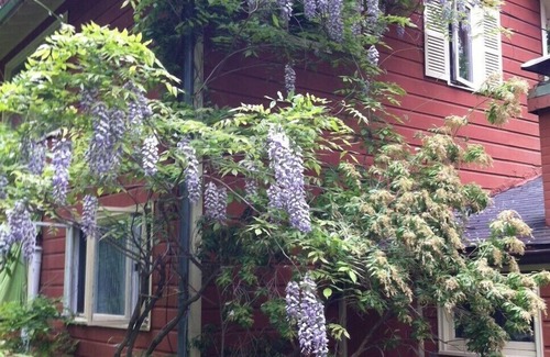 Bearsville Casa | Imagínese El Woodstock House