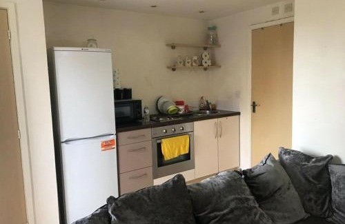 Stoke-on-Trent Apartamento | Immaculate 1-Bed Apartment in Stoke-on-Trent