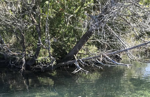Homosassa Cabaña | Inmaculada cabaña frente al mar