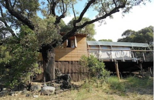 Pinarellu Cabina | Immortal Lodges